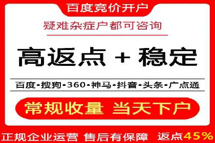 百度广告推广策略及成功案例解析